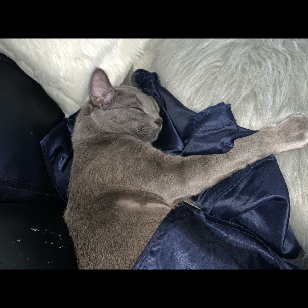 Smokey Beans - Picture 1 of 1